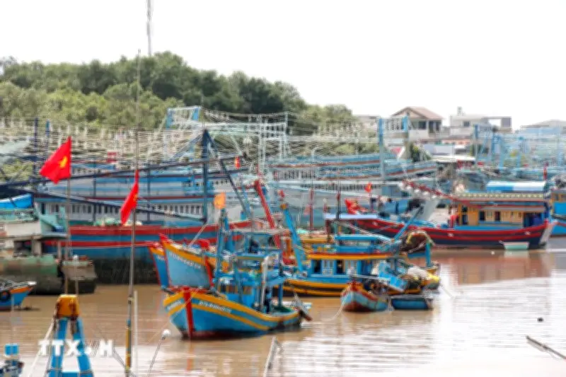 Khánh Hòa triển khai nhiều giải pháp nâng cao trách nhiệm chống khai thác IUU