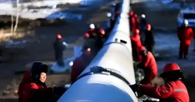 Kho Dầu Chiến Lược Bí Mật: Trụ Cột An Ninh Năng Lượng Của Trung Quốc