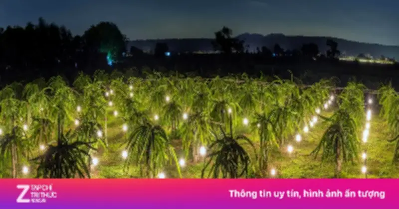 Khoảnh khắc sững sờ từ cửa sổ máy bay: Hà Nội - TP.HCM qua ống kính