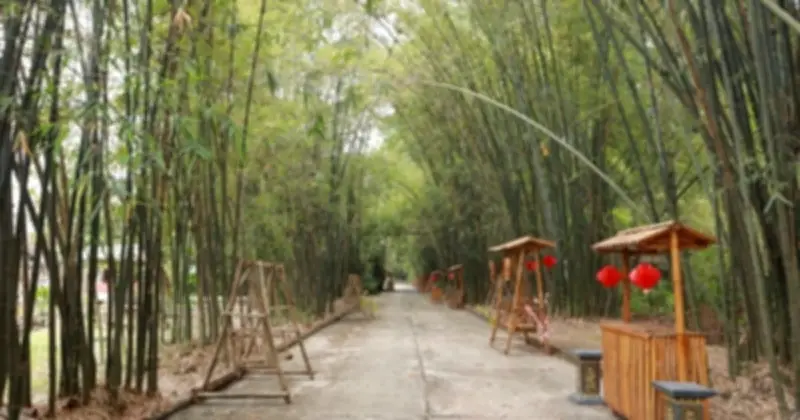 Khu Bảo Tồn Tre Phú An: 'Ngân Hàng Tre' Lớn Nhất Việt Nam Giữa Lòng Thủ Phủ Công Nghiệp