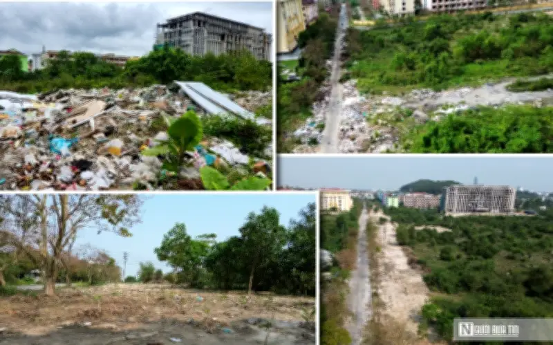 Khu Quy Hoạch Đại Học Huế Chuyển Mình: Từ Bãi Rác Tự Phát Thành Không Gian Xanh Sạch