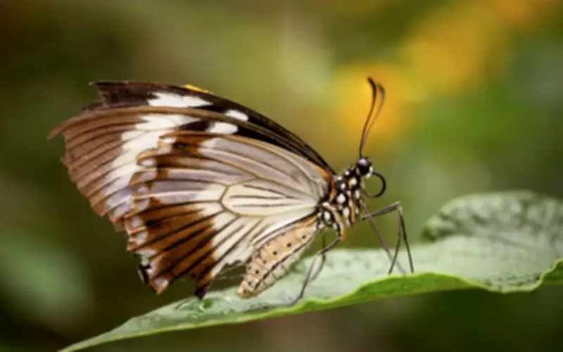Khung giờ sinh quyết định hậu vận: Những thời điểm mang nhiều điểm lành