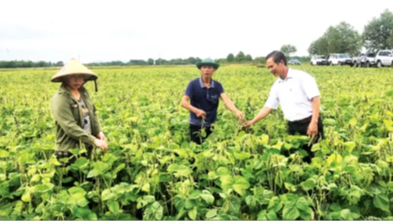 Khuyến nông chuyển mình theo mô hình chính quyền địa phương hai cấp