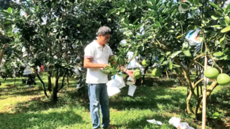 Khuyến nông quốc gia đạt thành tích ấn tượng năm 2025, thúc đẩy nông nghiệp bền vững