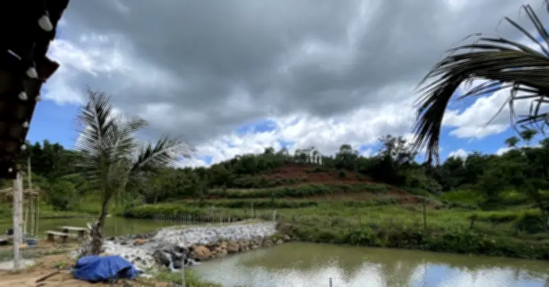 Kiện hàng xóm lấn đất, ra tòa mới biết ranh giới thật của thửa đất