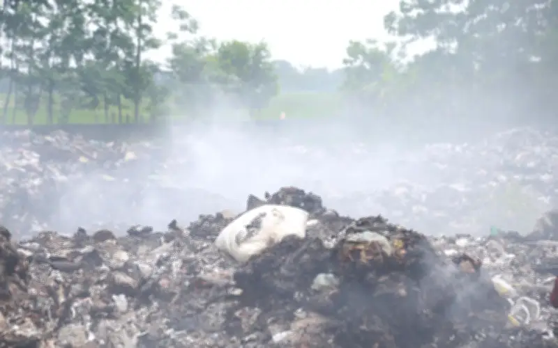 Kinh Hoàng Những Lò Bát Quái Ven Đê Ninh Bình: Khói Độc Âm Thầm Đầu Độc Người Dân