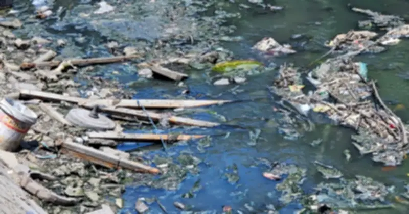 Kênh 19 Tháng 5 ô nhiễm nghiêm trọng: Người dân Tân Sơn Nhì, Tây Thạnh sống trong ám ảnh mùi hôi