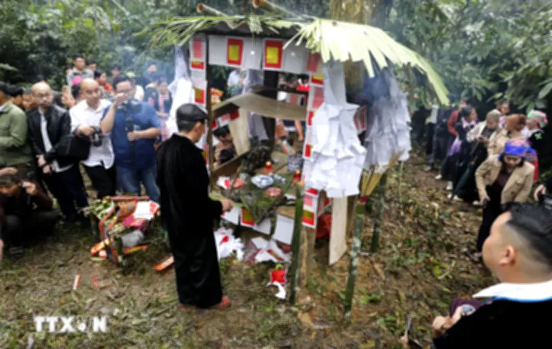 Lễ cúng rừng - Nét văn hóa đặc sắc gìn giữ môi trường của người Mông ở Lào Cai