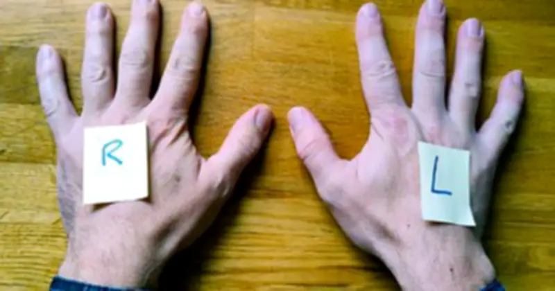 Lý Do Nhiều Người Thông Minh Vẫn Gặp Khó Khăn Trong Việc Phân Biệt Trái Phải