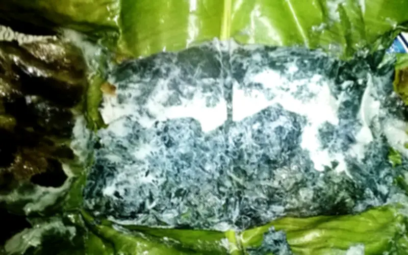 Lá Mơ Lông: Vị Thuốc Quý Trong Đông Y Và Các Bài Thuốc Hữu Ích