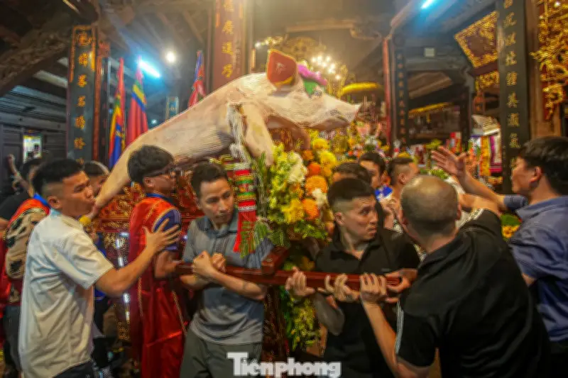 Lễ rước 'ông lợn' La Phù: Nét văn hóa độc đáo tưởng nhớ Thành hoàng làng