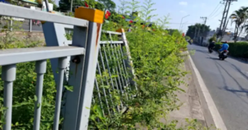 Lan can bảo vệ bờ kênh ở TP.HCM bị mất, nguy cơ tai nạn cao