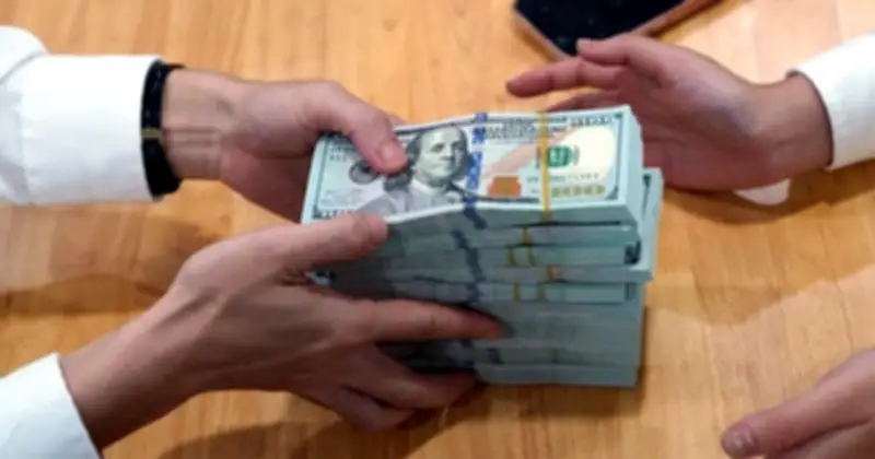 Lực Mua Phòng Thủ Quay Lại, Giá USD Tăng Mạnh Trong Nước Và Thế Giới