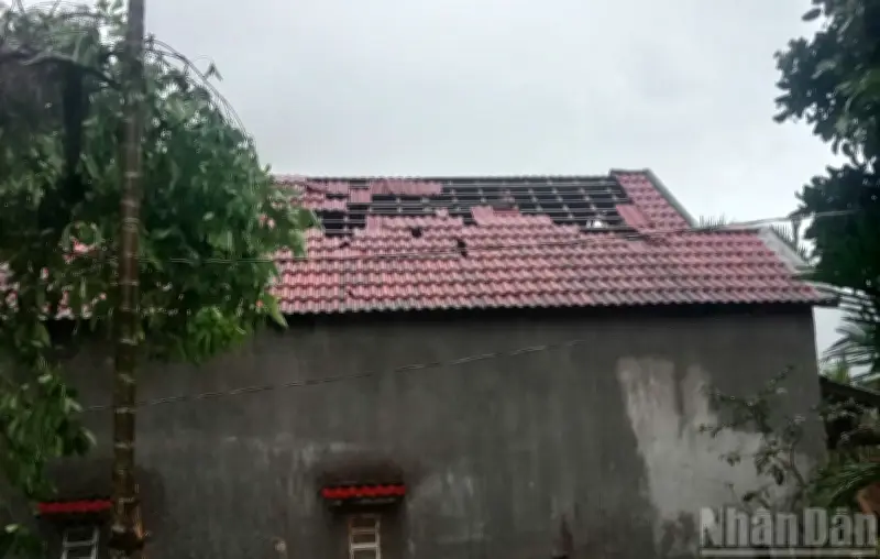 Lốc Xoáy Tàn Phá Xã Ba Vì, Hơn 100 Ngôi Nhà Bị Hư Hỏng Nặng