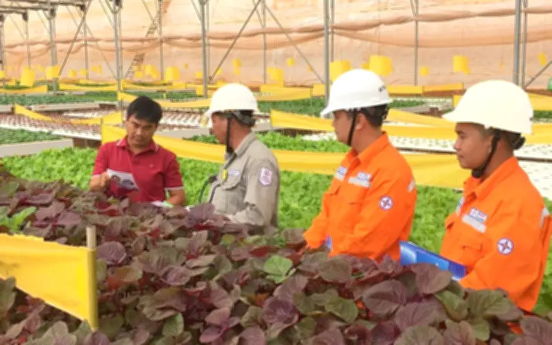 Lịch cúp điện Đồng Tháp, Tiền Giang tuần 23-29/3: Nhiều khu dân cư mất điện cả ngày