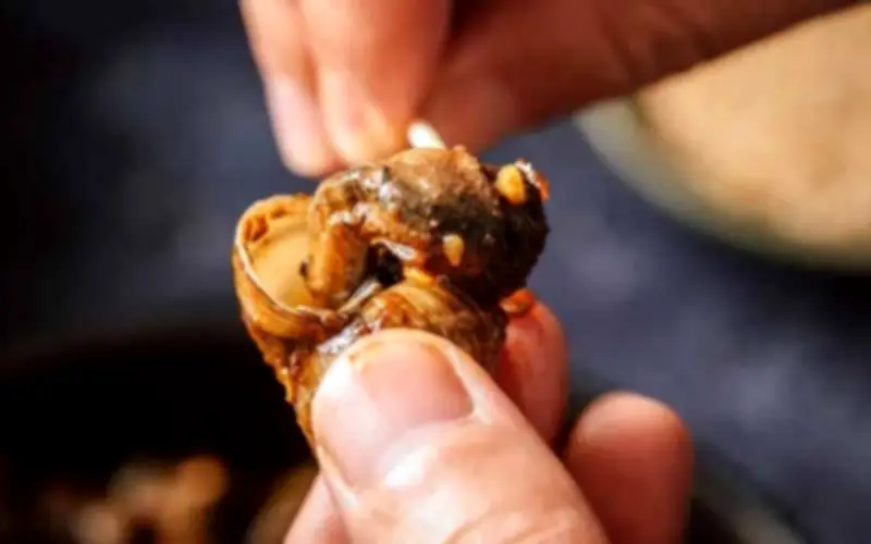 Lợi Ích Và Lưu Ý Khi Ăn Ốc Luộc: Ai Nên Tránh Món Ăn Này?