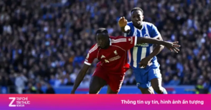 Liverpool Thất Bại Thảm Hại: Hậu Quả Từ Sự Sa Sút Của Chính Mình