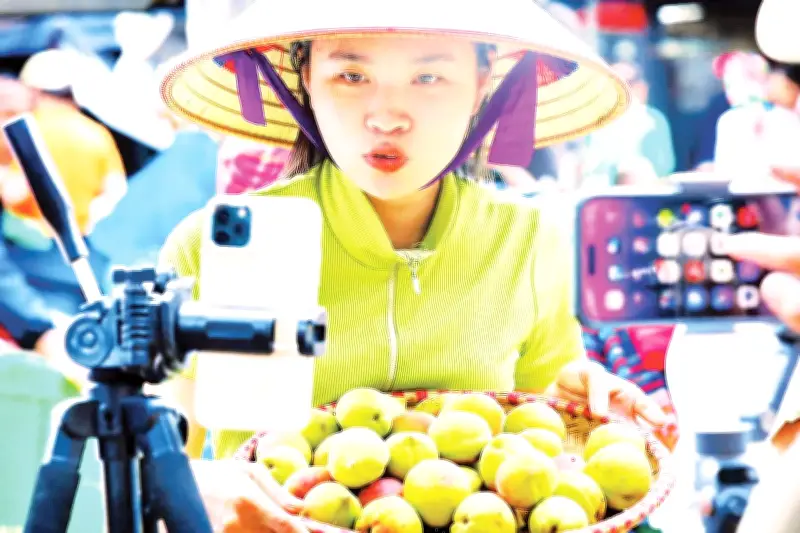 Livestream Bán Nông Sản Vùng Cao: Cú Hích Từ TikToker Đến Chính Quyền Địa Phương