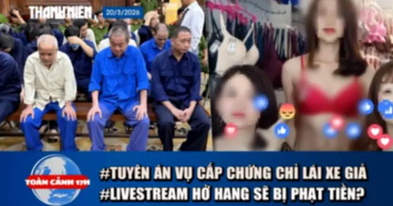 Livestream hở hang phạt đến 20 triệu, vụ cấp chứng chỉ lái xe giả cho 16.000 người bị tuyên án