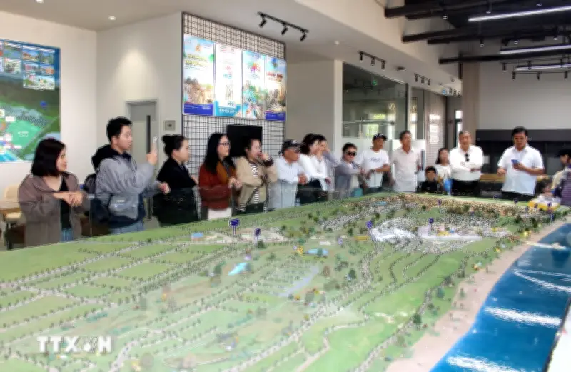 Lâm Đồng khảo sát phát triển tour du lịch bằng đường bộ, mở rộng điểm đến