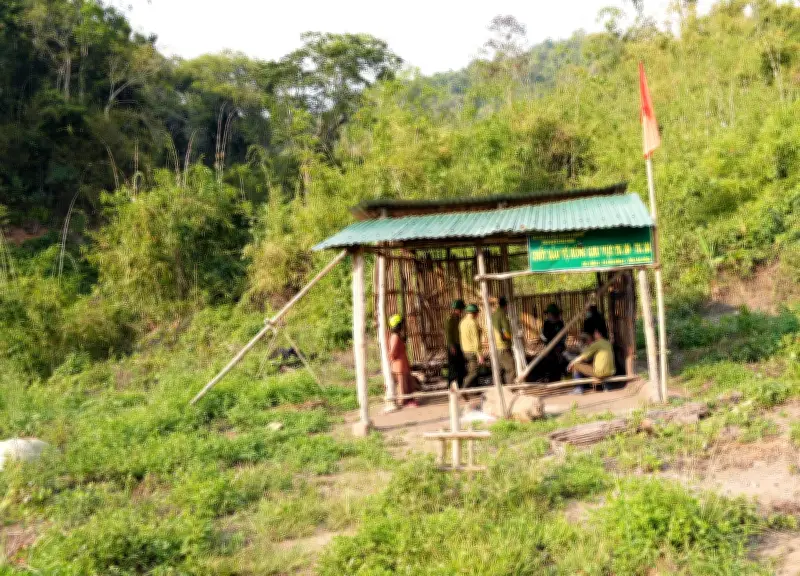 Lâm Đồng: Một Tuần 10 Vụ Phá Rừng, Lãnh Đạo Chỉ Đạo Xử Lý Kiên Quyết Cán Bộ Vi Pham