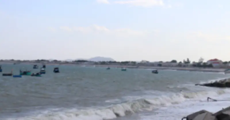 Lâm Đồng phản hồi về dự án nhiệt điện - nhôm tại Vĩnh Hảo, lo ngại ô nhiễm cao