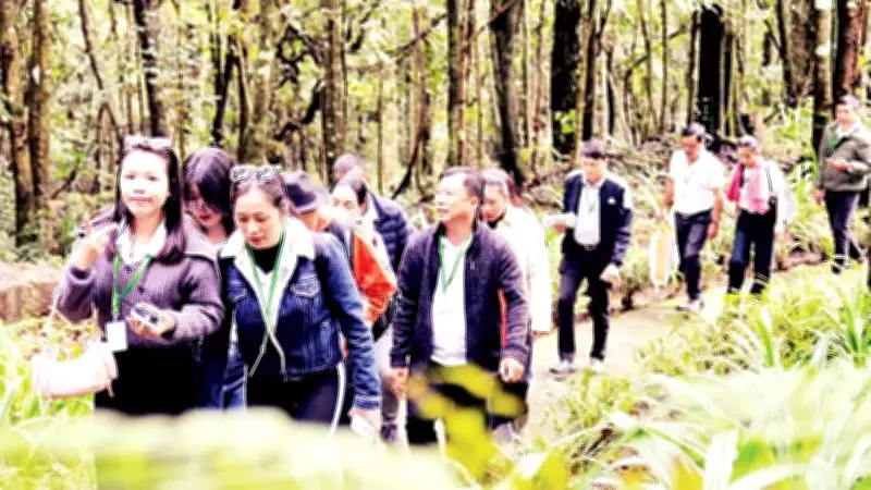 Lâm Đồng Phát Triển Kinh Tế Rừng: Du Lịch Sinh Thái Là Ưu Tiên Hàng Đầu