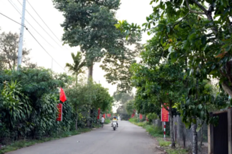 Lâm Đồng: Tuyến Đường Nông Thôn Mới Làm Bàn Đạp Đưa Công Nghệ Vào Đời Sống