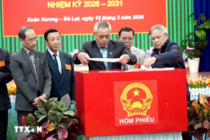 Lâm Đồng và Thanh Hóa công bố kết quả bầu cử đại biểu HĐND nhiệm kỳ mới