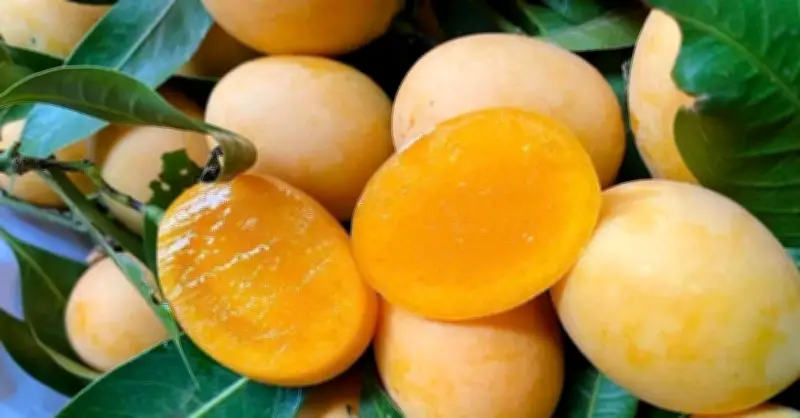 Loại quả giải nhiệt mùa hè nhưng người đau dạ dày cần tránh xa