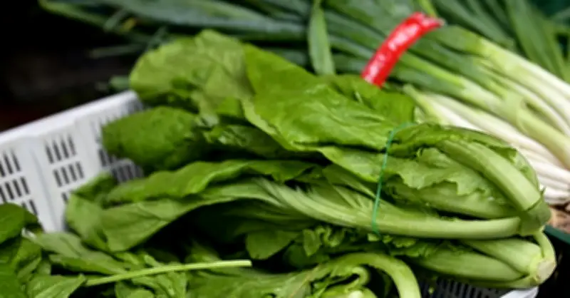 Loại Rau Được Bác Sĩ Khuyên Dùng: Ổn Định Đường Huyết, Hỗ Trợ Giải Độc Hiệu Quả