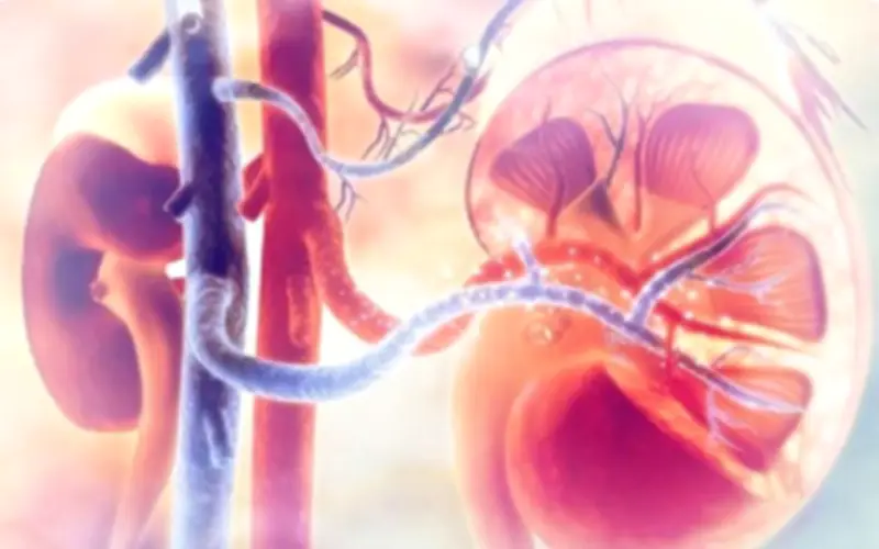 Loại rau tưởng tốt nhưng làm tăng nguy cơ suy thận, người Việt cần biết để ăn cho đúng