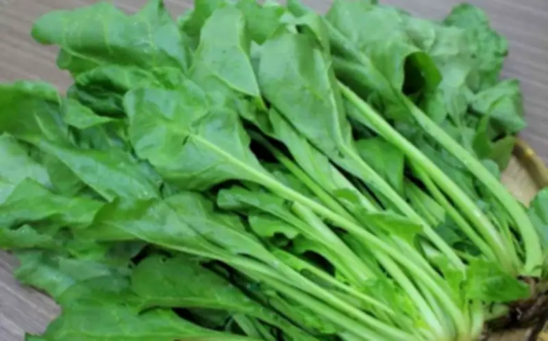 Loại Rau Tốt Cho Gan: Người Trung Niên Và Cao Tuổi Nên Bổ Sung Ngay