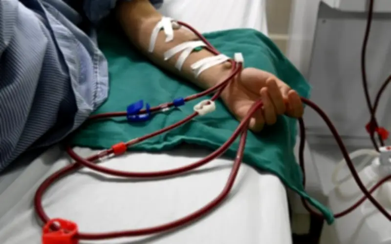Loại thịt ăn nhiều có thể làm tăng tốc độ suy thận: Người Việt cần hiểu đúng để phòng bệnh