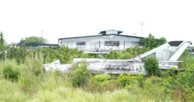 Lật mở nguồn gốc chiếc MiG-21 bị bỏ quên nhiều năm ở Cà Mau