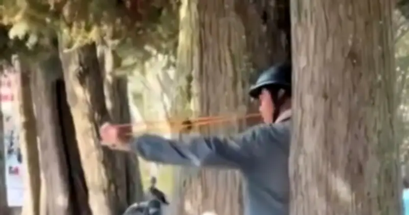 Đà Lạt: Người đàn ông dùng ná cao su bắn động vật và hành hung phóng viên