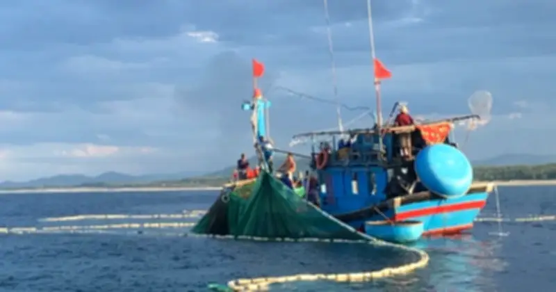 Đêm Biển Lấp Lánh: Hành Trình Đánh Bắt Cá Cơm Và Nghề Muối Mắm Truyền Thống Ở Quảng Ngãi