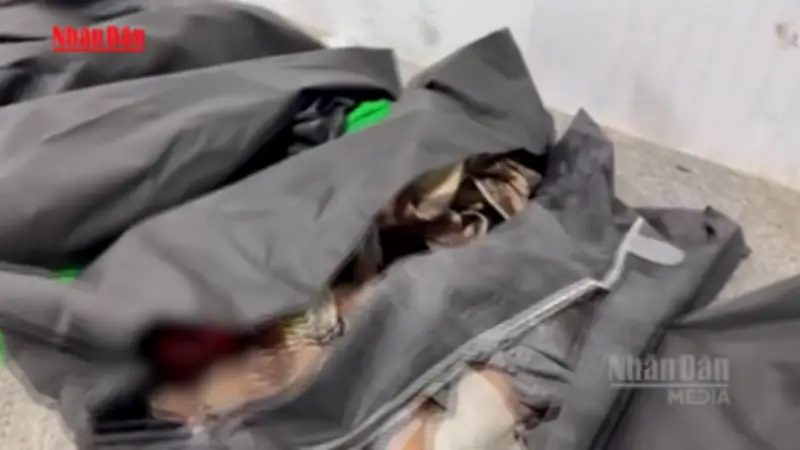 Mỹ cử tướng cấp cao điều tra vụ không kích trường tiểu học tại Iran