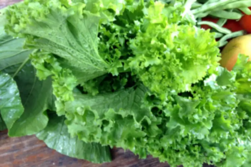 Mẹ đơn thân Hà Nội bị ký sinh trùng làm tổ trong gan, cảnh báo từ thói quen ăn uống