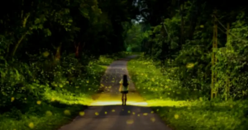 Mùa Bướm Và Đom Đóm Ở Cúc Phương Đến Sớm: Tín Hiệu Từ Rừng Già