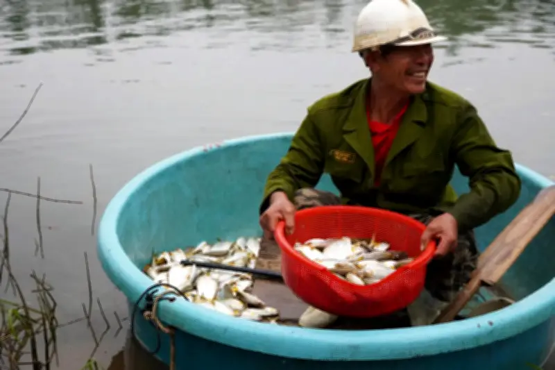 Mùa Cá Mòi Trên Sông Rào Nan: 'Lộc Trời' Đầu Xuân Và Nhịp Sống Rộn Ràng