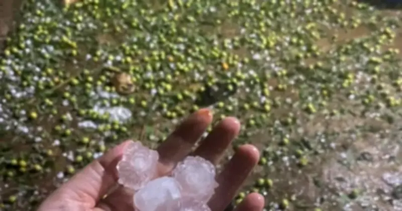 Mưa đá dữ dội tàn phá nông nghiệp Sơn La, hàng trăm ha cây trái bị hủy hoại