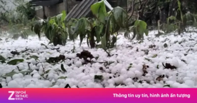 Mưa đá, dông lốc và sét gây thiệt hại nặng nề: 4 người tử vong, hàng nghìn nhà hư hỏng