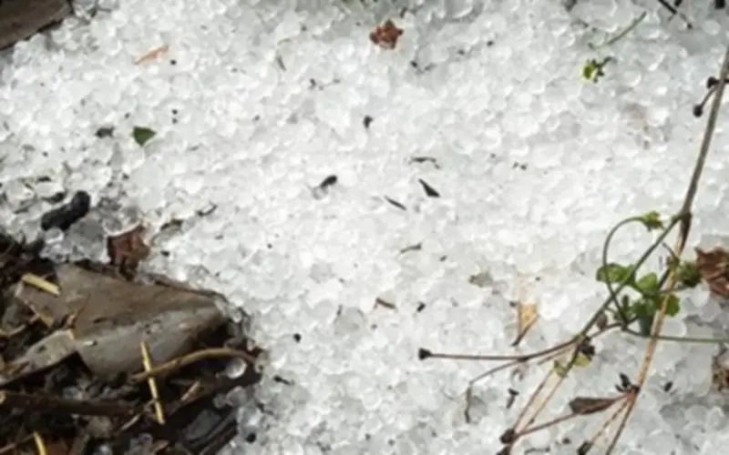 Mưa đá, giông lốc tàn phá miền núi phía Bắc, gây thiệt hại nặng nề về người và tài sản