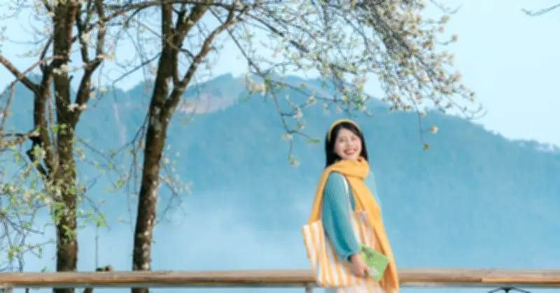 Mùa hoa sơn trà ở Tà Xùa nở rộ, du khách Hà Nội vượt 240km tới check-in