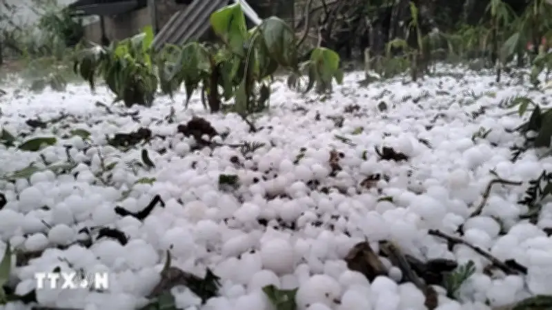 Mưa đá kèm dông lốc ở Sét khiến 4 người tử vong, 9 người bị thương và 64 nhà hư hại