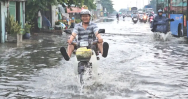 Mưa trái mùa giữa mùa khô gây thiệt hại nặng cho nông dân Nam bộ và Tây Nguyên