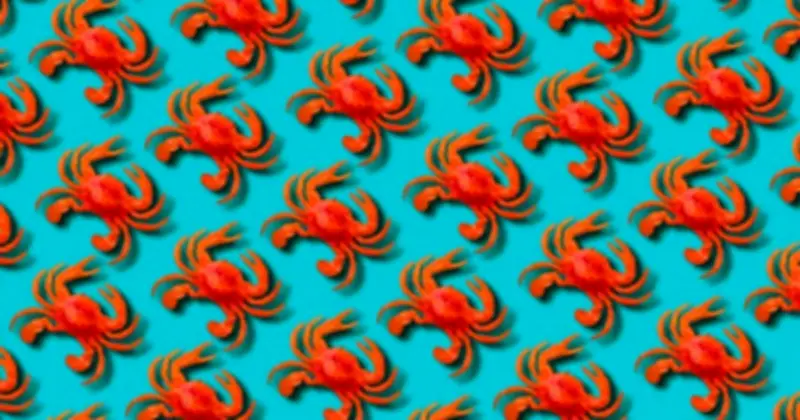 Meta chính thức thâu tóm Moltbook, mạng xã hội AI từng gây lo ngại về bảo mật