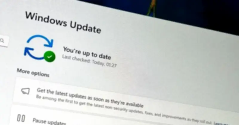 Microsoft chia tách kênh Canary: Dấu hiệu Windows 12 đang đến gần với lõi Strontium