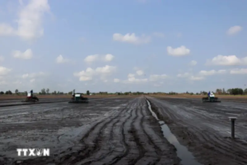 Mặn xâm nhập sâu tại ĐBSCL có thể vào sâu 60km trong tháng 3